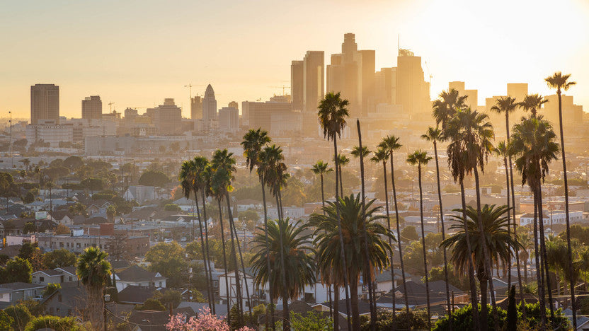 Top 10 Attractions in Los Angeles Kids Will Love