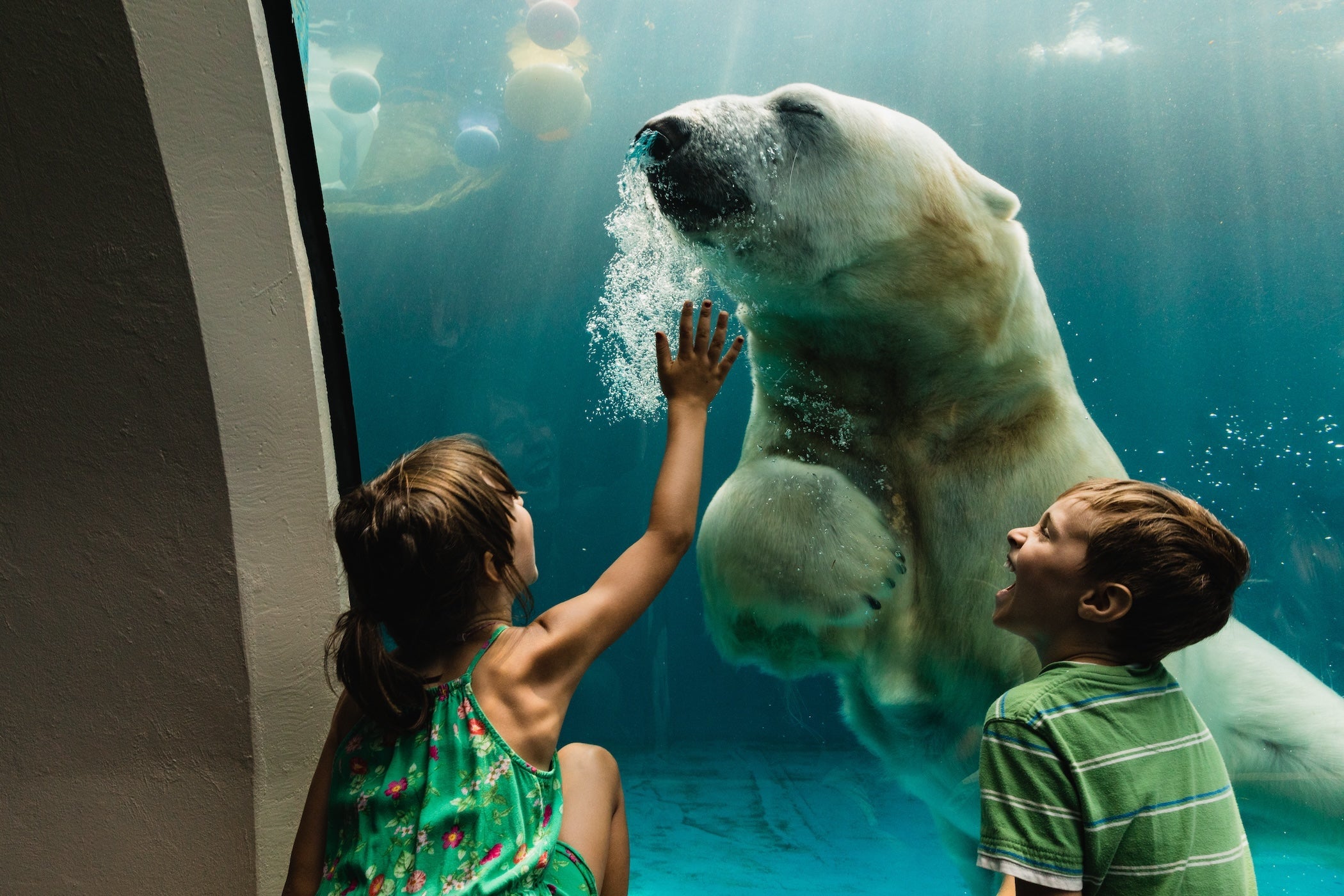 Educational Road Trips: The Best U.S. Destinations for Learning on the Go