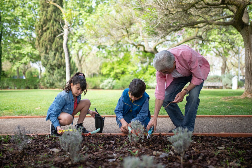 Boredom, Begone! 5 Exciting Activities for Grandparents and Grandkids