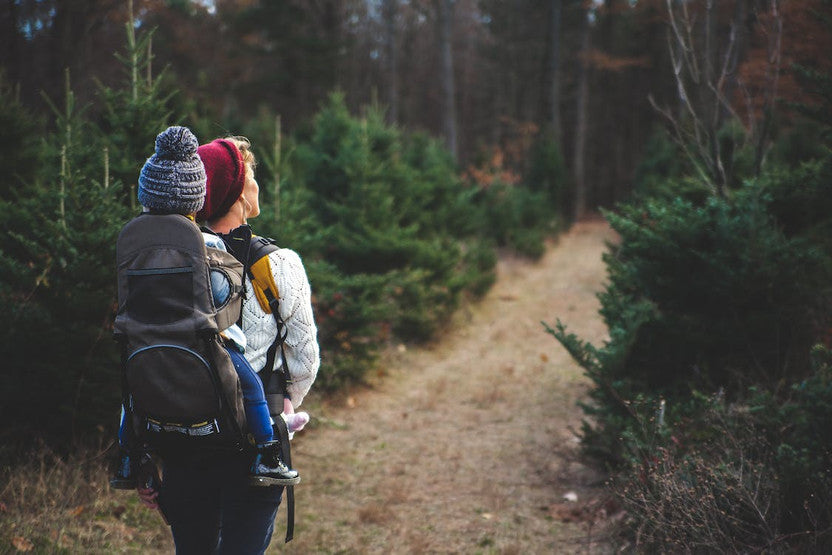 Hiking with Little Ones: Tricks and Tips for a Safe and Enjoyable Experience